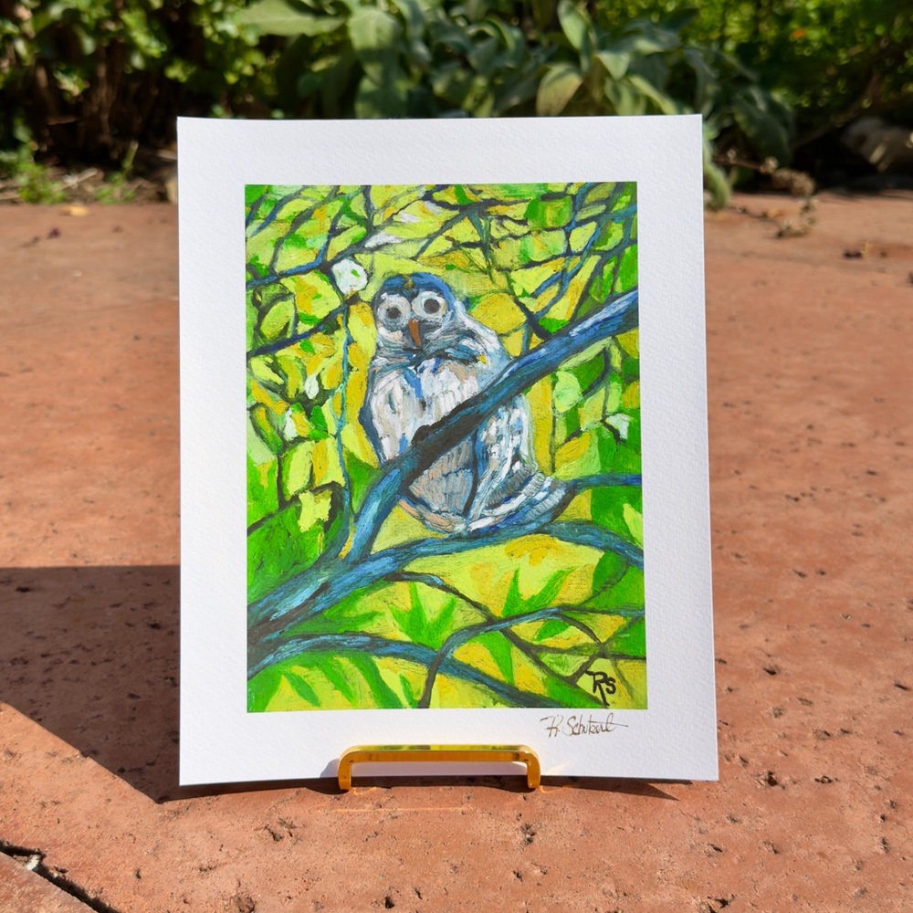 Barred Owl Fine Art, 8x10” Unframed, signed Giclee art print